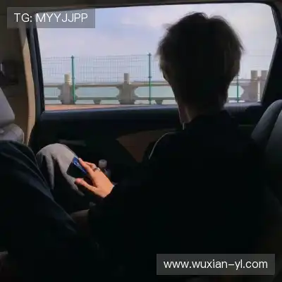 舒舜飚